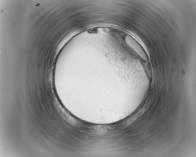 X0000085270906200704092137