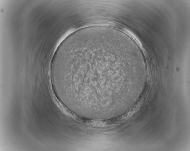 X0000085270907200704092137