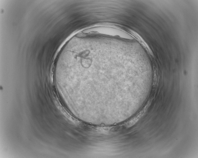 X0000085270908200704092137