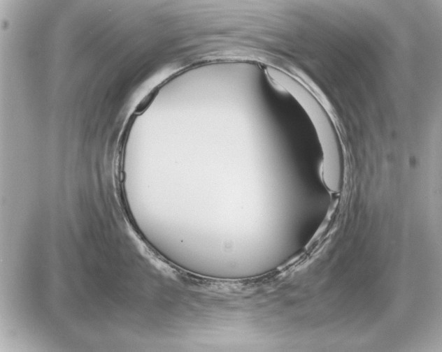 X0000085270909200704092137