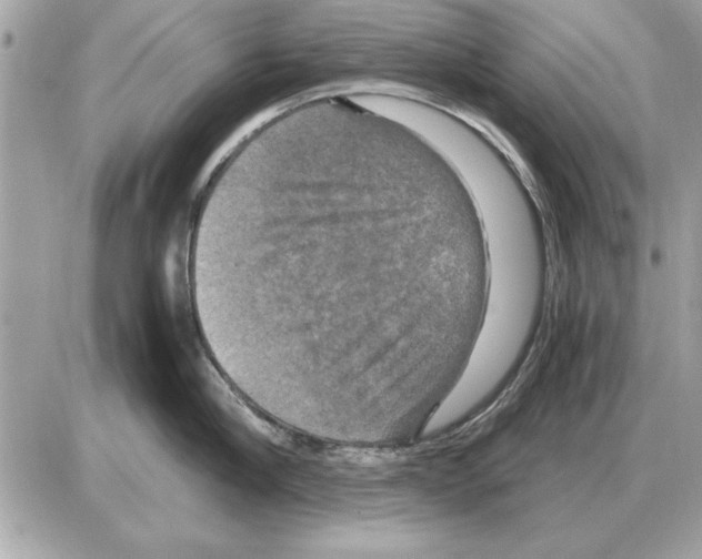 X0000085270910200704092137