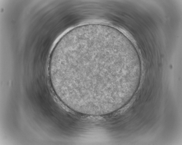 X0000085270912200704092137