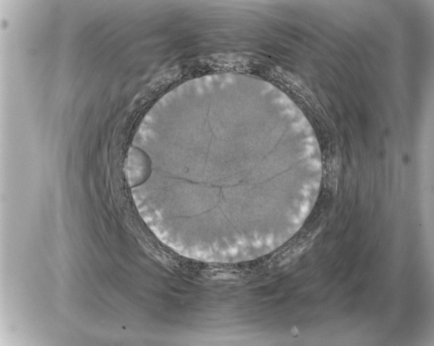 X0000085270913200704092136