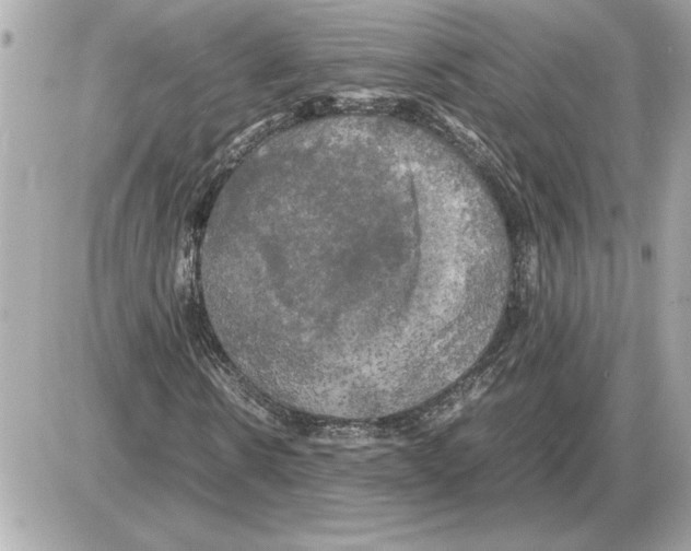 X0000085270914200704092136