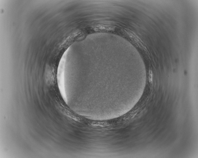 X0000085270915200704092136