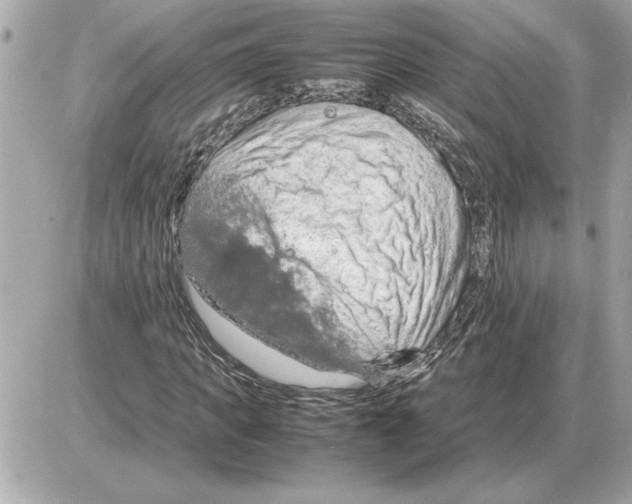 X0000085270917200704092136