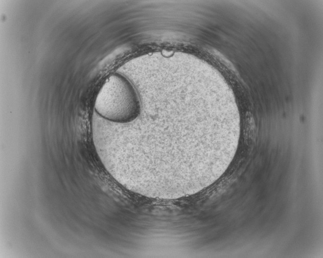 X0000085270918200704092136