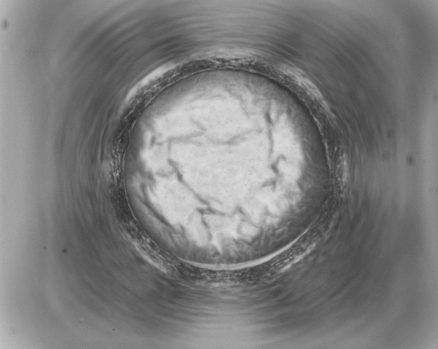 X0000085270920200704092136