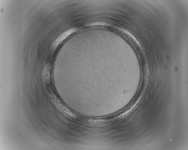 X0000085270921200704092136