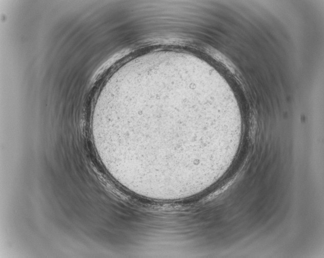 X0000085270922200704092136