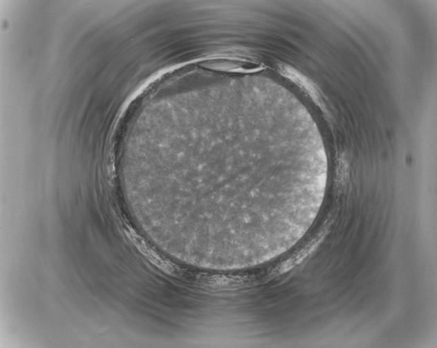 X0000085270923200704092136