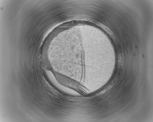 X0000085270926200704092136