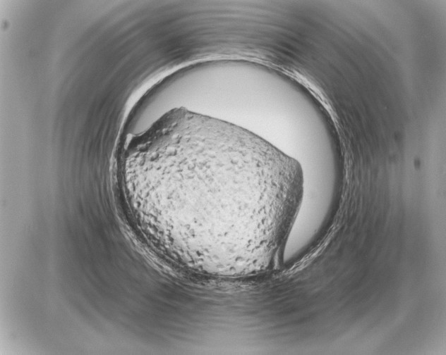 X0000085270928200704092136