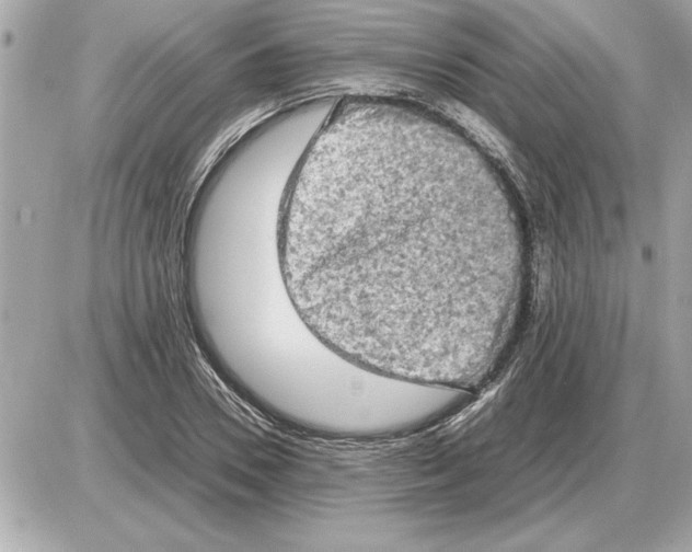 X0000085270930200704092136