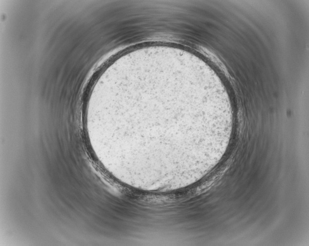 X0000085270931200704092136