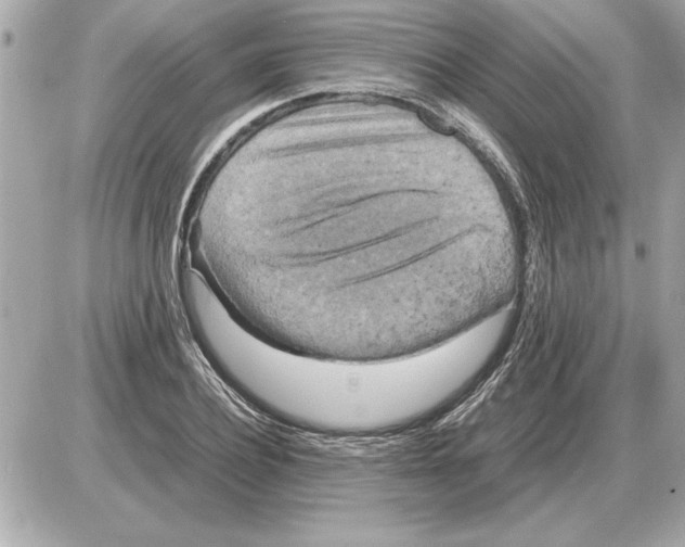 X0000085270932200704092136