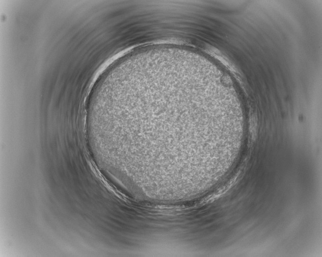 X0000085270933200704092136