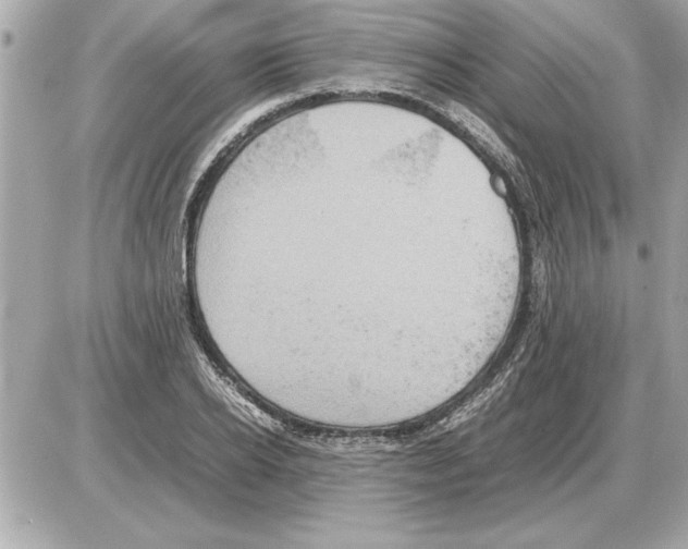 X0000085270934200704092136