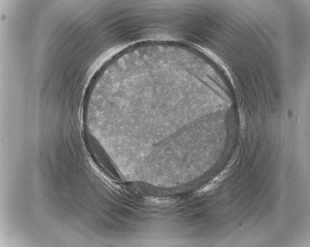 X0000085270935200704092136