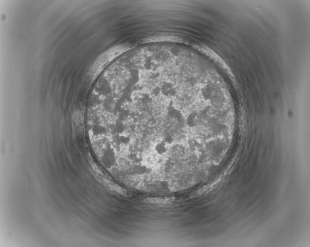 X0000085270937200704092136