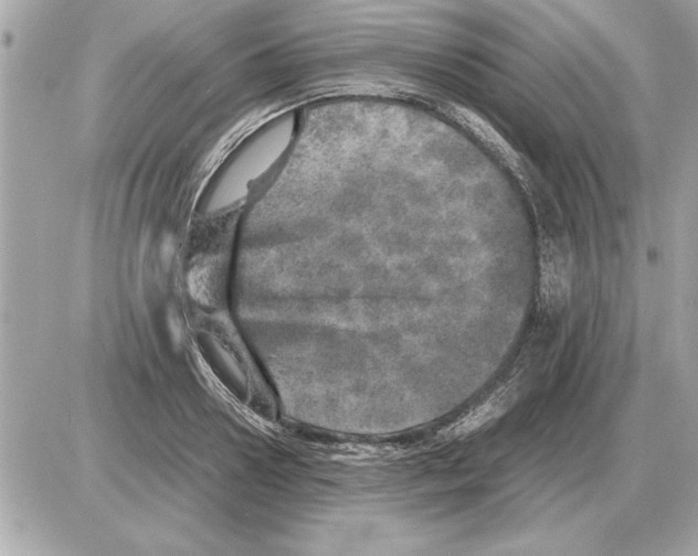 X0000085270938200704092136