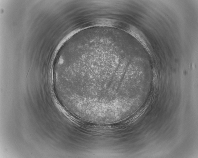 X0000085270939200704092136