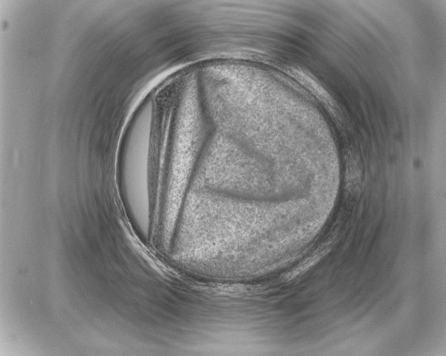 X0000085270940200704092136