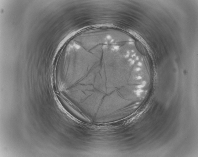 X0000085270941200704092136