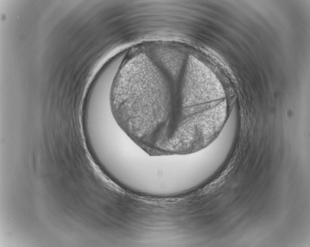 X0000085270942200704092136