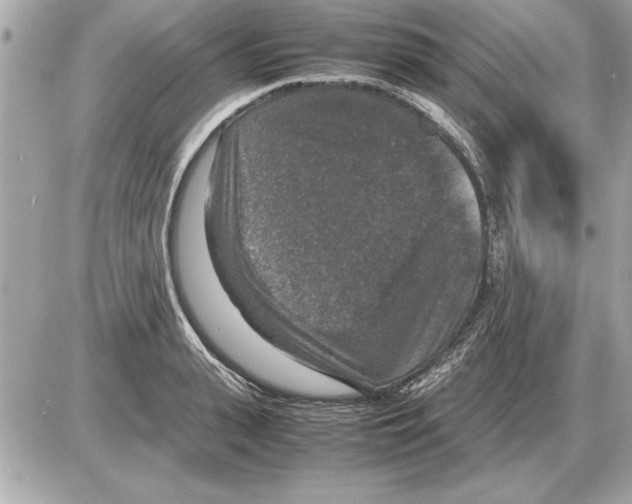 X0000085270943200704092136