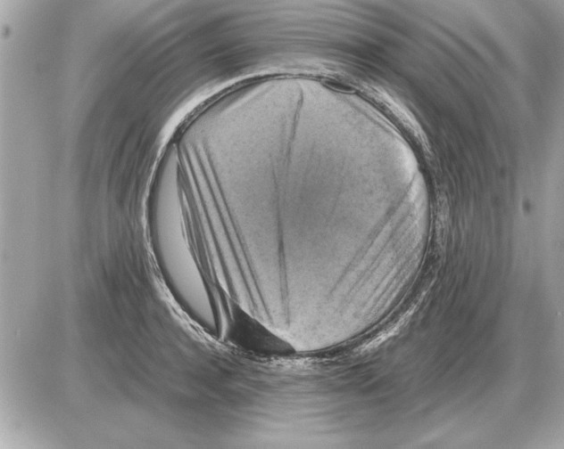 X0000085270944200704092136