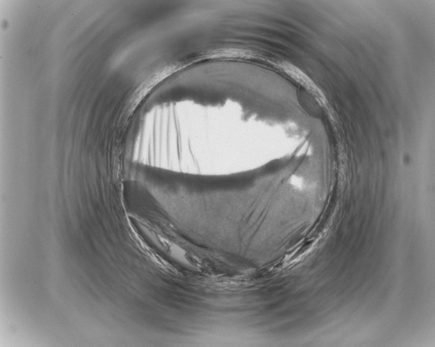 X0000085270945200704092136