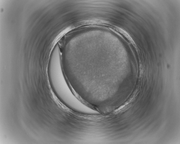 X0000085270946200704092136