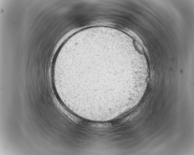 X0000085270947200704092136