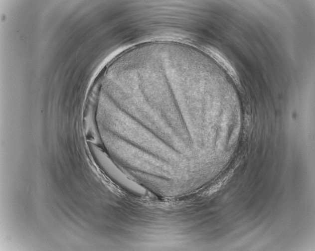 X0000085270948200704092136