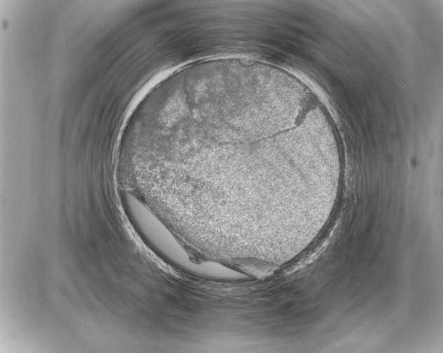 X0000085270949200704092136