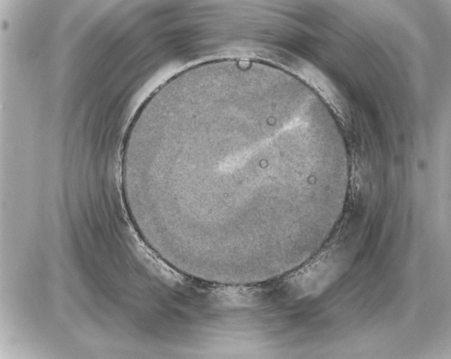 X0000085270950200704092136