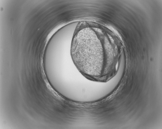 X0000085270952200704092136