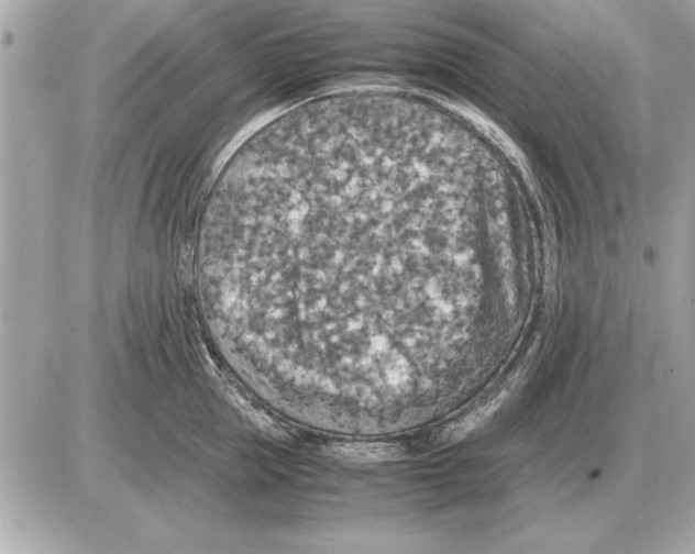 X0000085270953200704092136