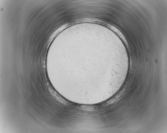 X0000085270954200704092136