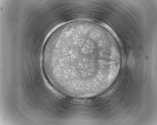 X0000085270955200704092137