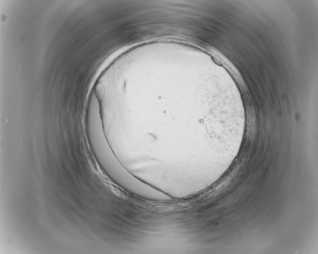 X0000085270956200704092137