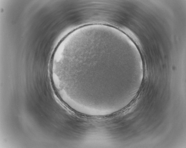 X0000085270958200704092137