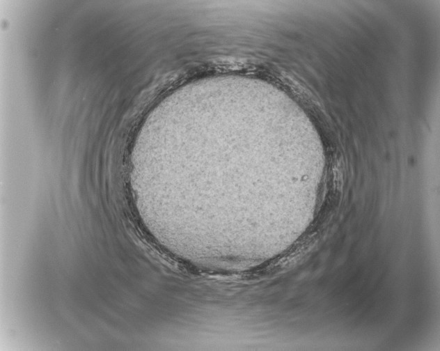 X0000085270961200704092136