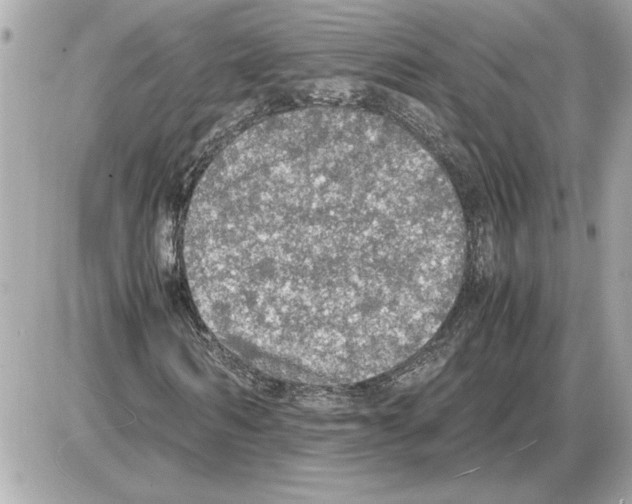 X0000085270962200704092136