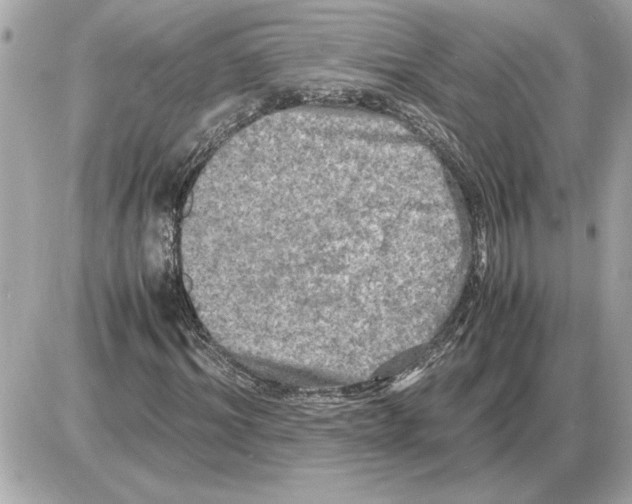 X0000085270964200704092136