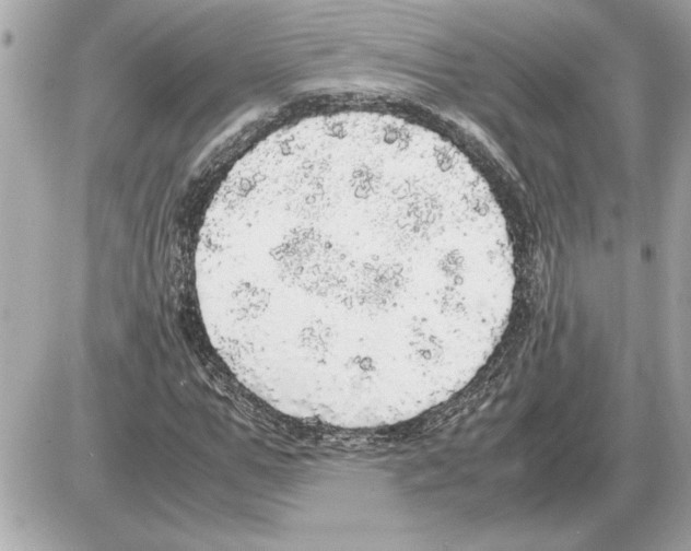 X0000085270967200704092136