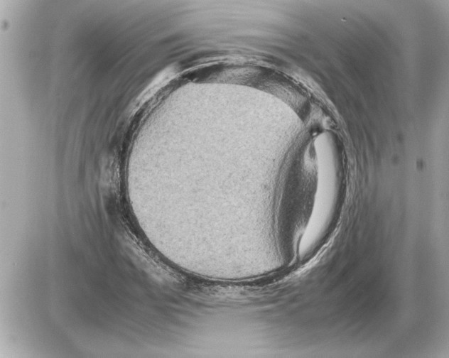 X0000085270969200704092136