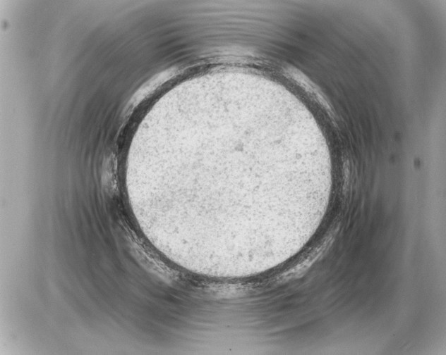 X0000085270970200704092136