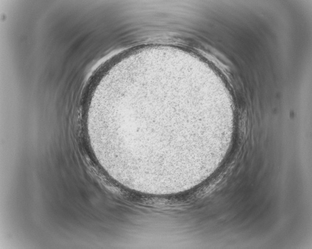 X0000085270971200704092136